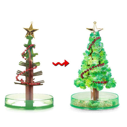 MagicGrow™ - Christmas Festive Growing Tree Kit - BUY ONE GET ONE FREE