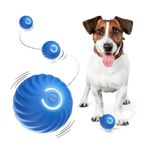 FidoFun™- Rechargeable Interactive LED Ball Toys For Pets