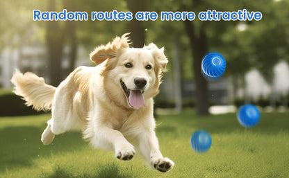 FidoFun™- Rechargeable Interactive LED Ball Toys For Pets