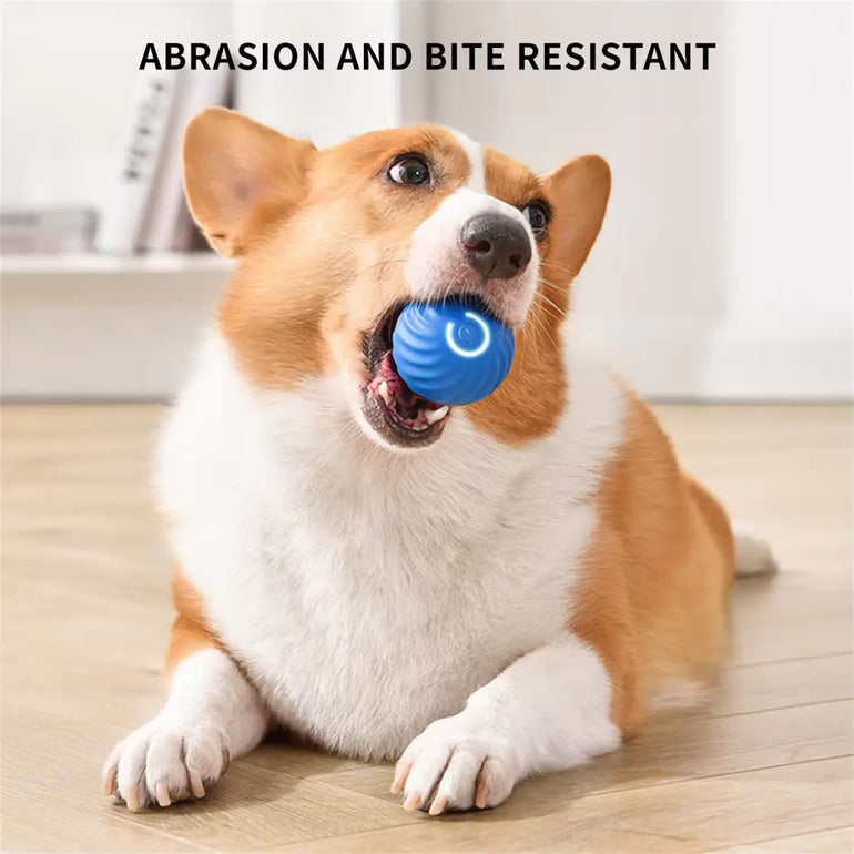 FidoFun™- Rechargeable Interactive LED Ball Toys For Pets